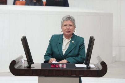 CHP’li Yontar: Zeytini kömüre feda etmek geleceğe ihanettir!