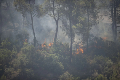 Seferihisar ve Menderes yangınlarının bilançosu ağır