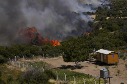 İzmir İtfaiyesi, Çeşme'nin dört bir yanında görevde