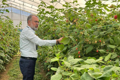 Bursa Kestel ve Gürsu’dan Sırbistan’a tarım çıkarması