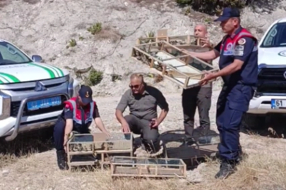 Gediz'de yasak ava 1 milyon ceza!