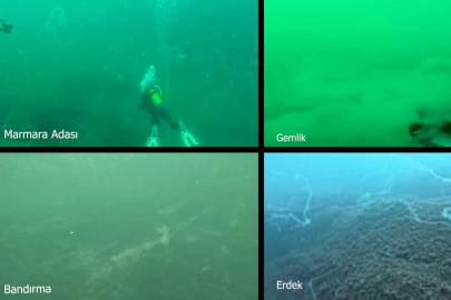 Marmara Denizi'nde müsilaj alarmı! Prof. Dr. Mustafa Sarı'dan acil çağrı