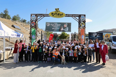 Kayseri Talas'ta hayvanlara özel kutlama