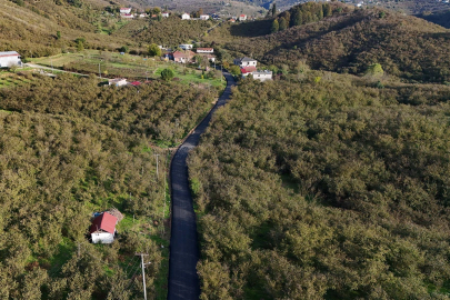 Sakarya Büyükşehir’den yeşilin tam ortasına dokunuş