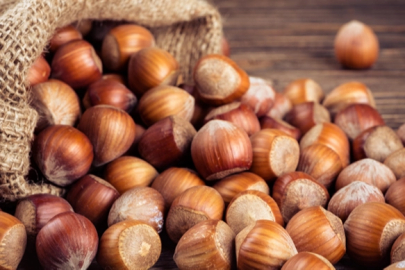 TMO'dan 'kabuklu fındık' açıklaması: Satışımız ve hazırlığımız bulunmamaktadır