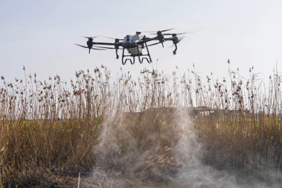 Sivrisinek ve zararlılara karşı İzmir modeli teknoloji sahada