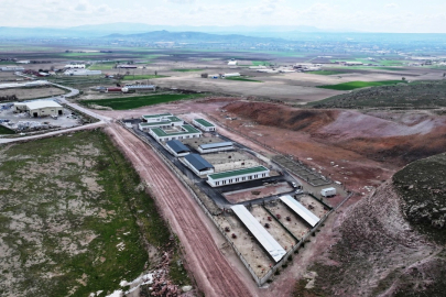 Kayseri Kocasinan'dan sokak hayvanlarına özel mekan