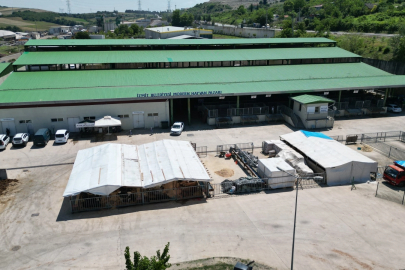 Kurban Bayramı öncesi İzmit’te alanlar tahsis ediliyor